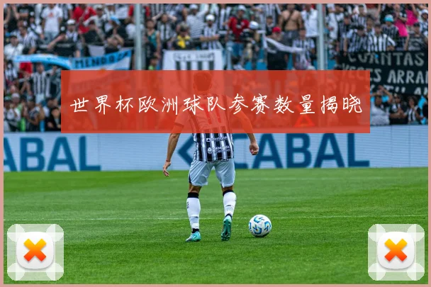世界杯欧洲球队参赛数量揭晓