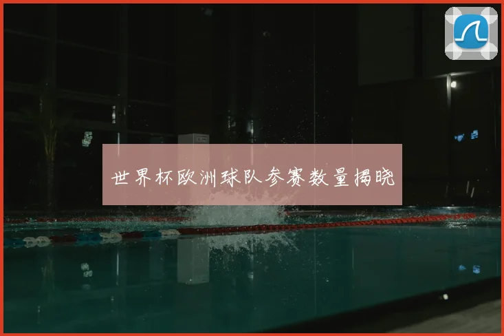 世界杯欧洲球队参赛数量揭晓