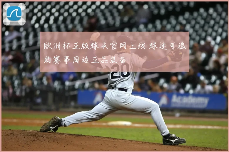 欧洲杯正版球衣官网上线 球迷可选购赛事周边正品装备