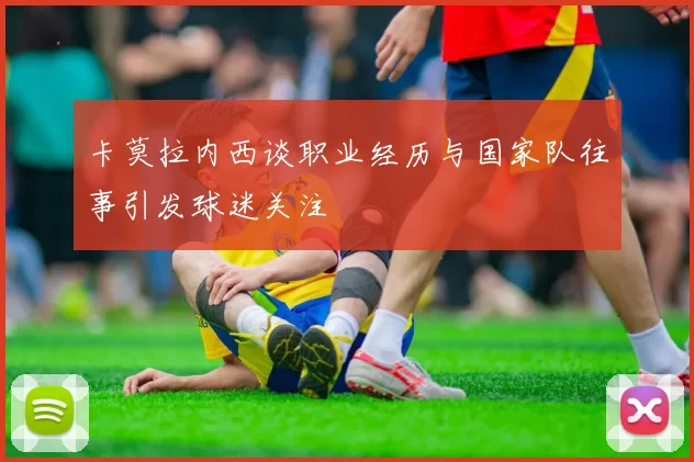 卡莫拉内西谈职业经历与国家队往事引发球迷关注