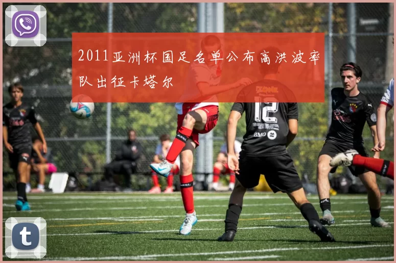 2011亚洲杯国足名单公布高洪波率队出征卡塔尔